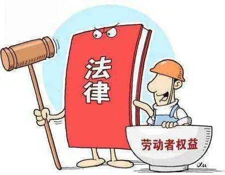 国家公务员法，权力与责任的平衡艺术