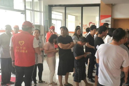 云南省人事厅网站，你的职业发展新伙伴