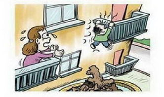 悲剧与警示，男童上学途中被砍事件深度解析