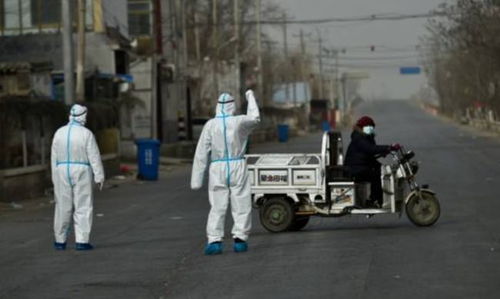 深入解析，31省新增本土确诊2753例背后的疫情动态与防控策略