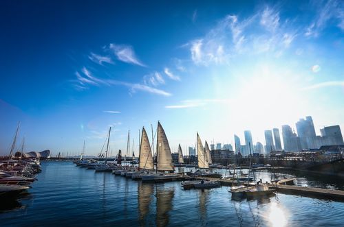 探索鄂尔多斯，汽车文化与城市发展的融合之旅