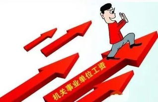 事业单位岗位绩效工资制度，激励与公平的桥梁