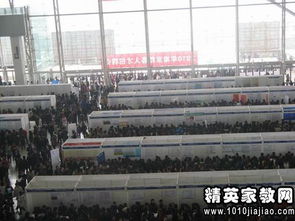 南京市人事局，人才管理与服务的桥梁