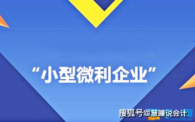 小型微利企业，经济活力的源泉