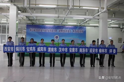 陕西省劳动和社会保障厅，保障民生，促进和谐