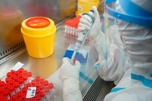 31省新增本土确诊29例，疫情动态更新与防控措施解析