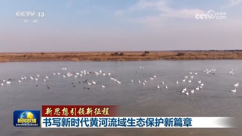 绿色发展，自治区环保局如何引领生态保护新篇章