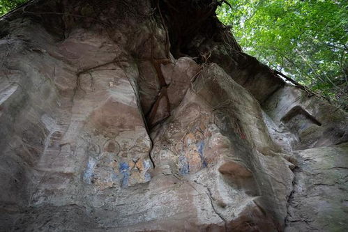 四川公安厅厅长，守护平安的领路人