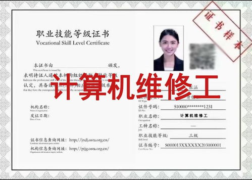 掌握技能类国家职业资格，开启职业发展之门