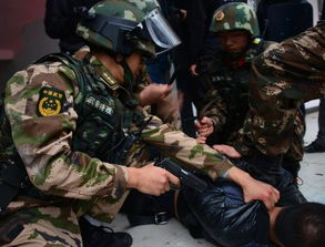 江西持枪杀人案，法律、心理与社会安全的交织