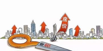 深圳限购令，房地产市场调控的深度解析与未来展望