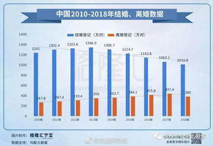 揭秘离婚率最高的城市，原因、影响与应对策略