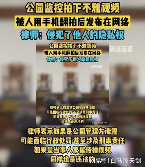 成人网络播放器，隐私、法律与道德的边界