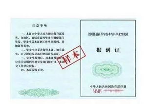 报到证丢失了怎么办？一份详尽的补救指南