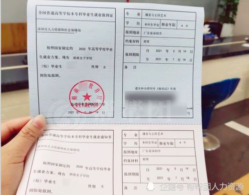 报到证丢失了怎么办？一份详尽的补救指南