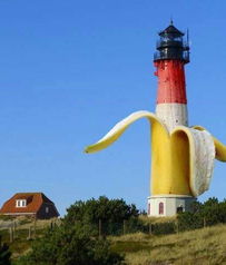 温州司法局，守护公平正义的灯塔