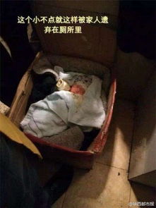 生命的遗弃与希望，新生女婴在厕所的惊心发现与社会反思