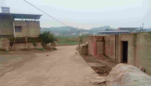 农村宅基地新政策2019，改革浪潮下的农民权益与挑战