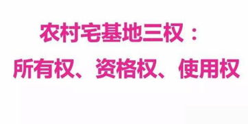 农村宅基地新政策2019，改革浪潮下的农民权益与挑战