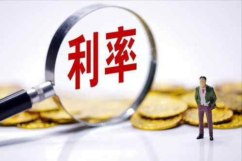 天津劳动局，守护劳动者权益的坚实后盾