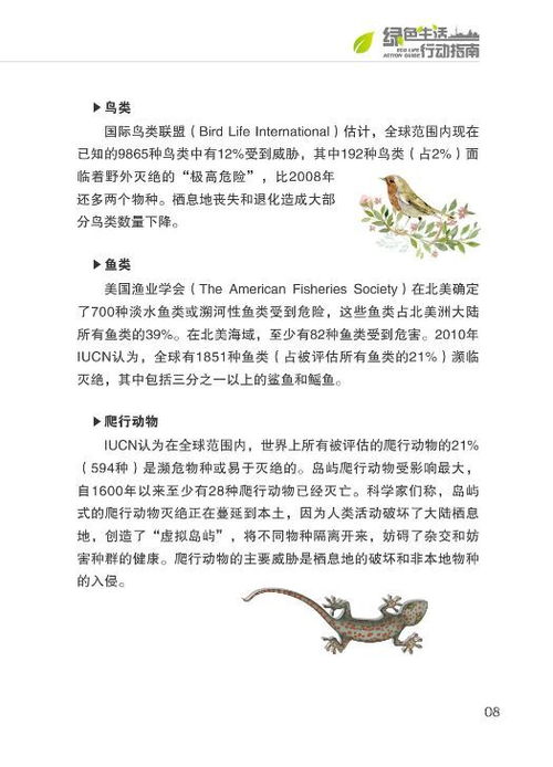 绿色行动，如何撰写一份打动人心的环保申请书