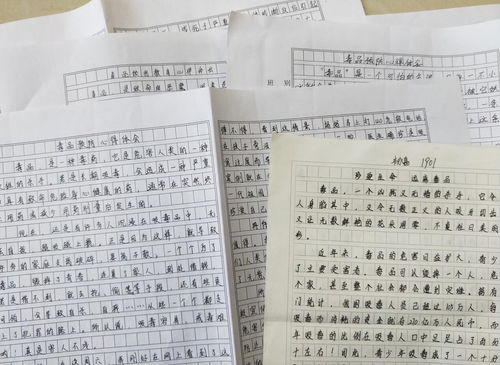 绿色行动，如何撰写一份打动人心的环保申请书