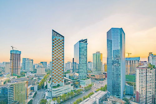 成都投资担保公司，助力中小企业发展的桥梁