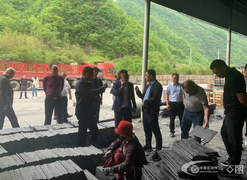 什么是钉子户，深入理解城市发展中的坚守者