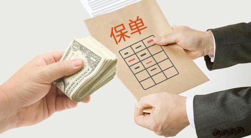 信用贷款申请，解锁你的财务潜力