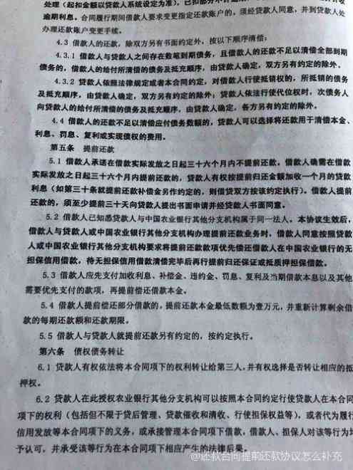 深入了解贫困申请理由，如何撰写有效且具有说服力的申请