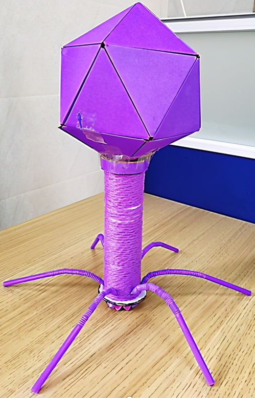 朝阳保安公司，守护城市的隐形英雄