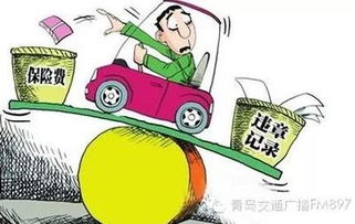 深圳市交通违章，规则、影响与预防策略