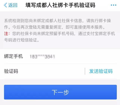 成都社保网上查询全攻略，轻松掌握你的社保信息