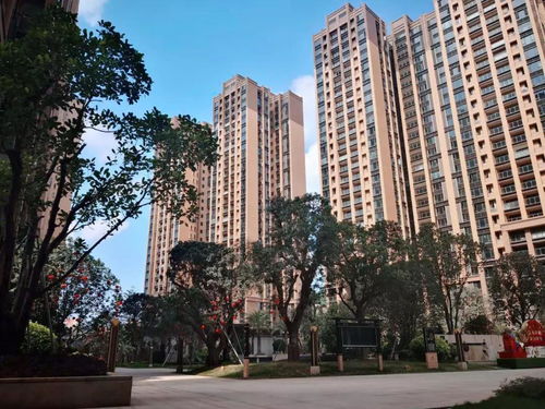 全面解析，什么情况下可以生二胎及其背后的考量