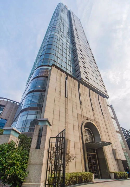 抖音宝芽怎么了？一探究竟，了解背后的真相