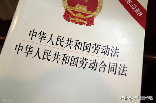 理解维稳承诺书，企业社会责任与员工权益保障