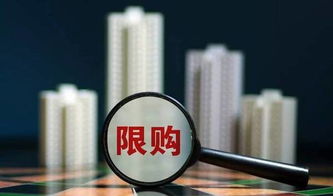 楼市新政策，影响、机遇与应对策略