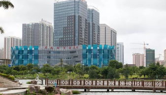 深圳市人才安居办法，打造宜居城市，吸引全球精英