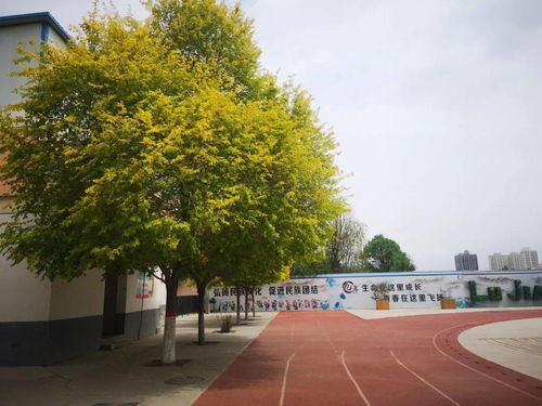 肥西二手房，家的温暖，从这里开始