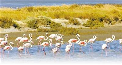 矿产资源管理法，保护与合理利用的桥梁