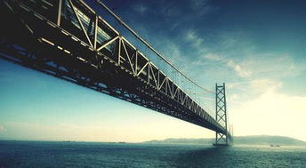 东莞地方税务局，税收服务与地方经济发展的桥梁