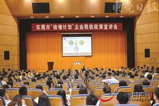 东莞地方税务局，税收服务与地方经济发展的桥梁