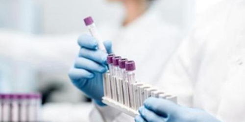 江苏疫情新动态，31省区市新增本土确诊31例的深度解析