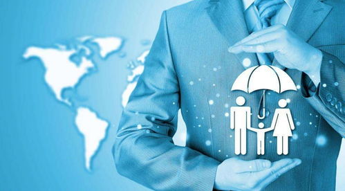 索赔员，保险行业的侦探与调解者