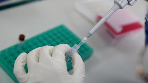 美国新冠肺炎疫情，超209万例背后的挑战与应对