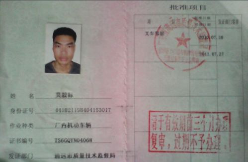 守护安全之盾，特种设备安全员证的非凡使命