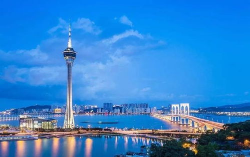 自由贸易区，全球经济的桥梁与纽带