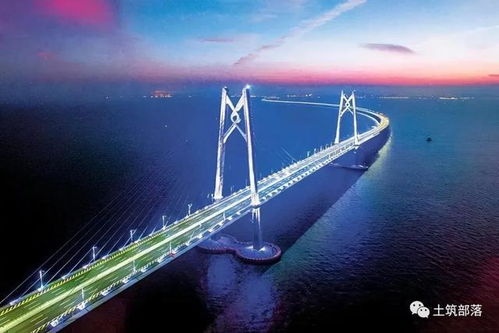 自由贸易区，全球经济的桥梁与纽带