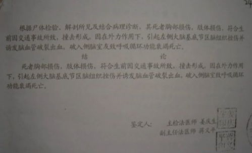 石家庄市疫情急刹车，新增病例三天内下降近八成的背后故事