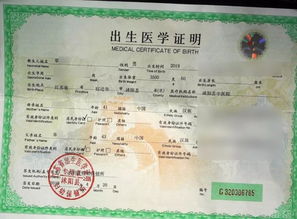 出生证明公证，确保身份合法性的桥梁